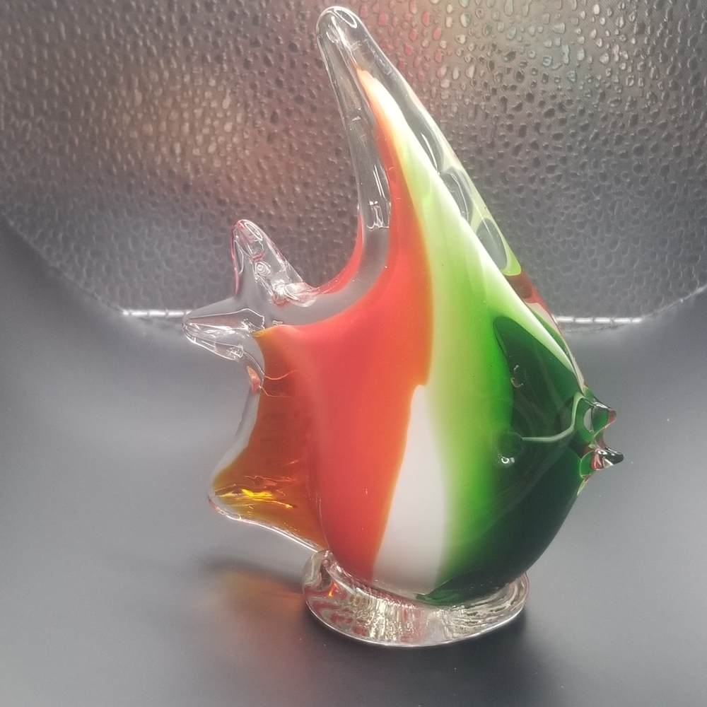 Glass fish - Picture 6 of 16